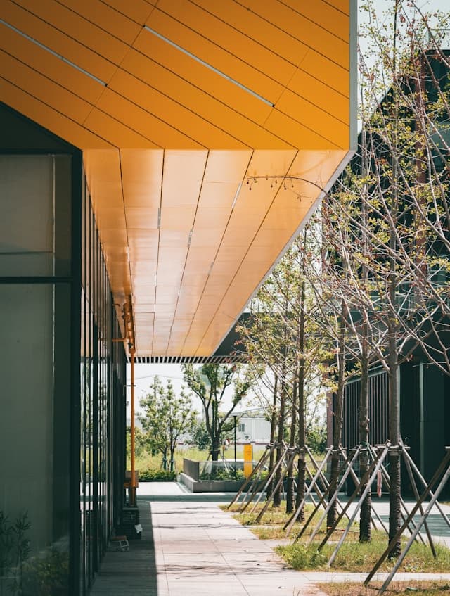 Full Property Restoration